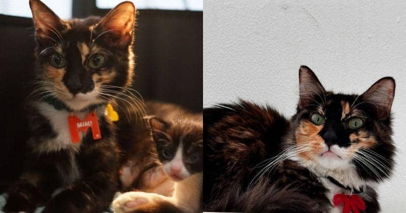 Instagram.com/wordfangs